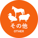 その他 OTHER